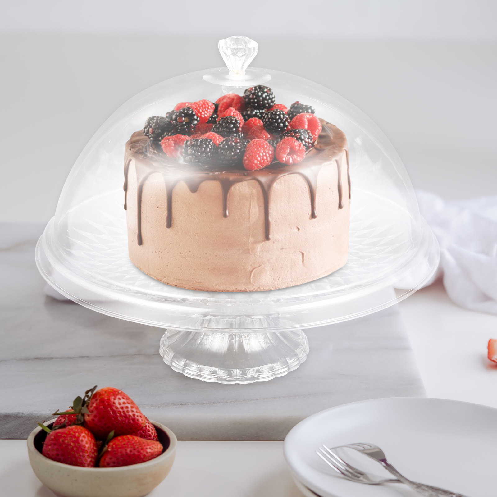Plastic Dome Clear - Clear Pet Cake Stand with Dome
