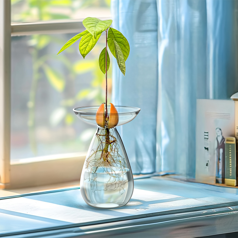 Propagation Station Vase - Avocado Seed Starter Vase Transparent Plant