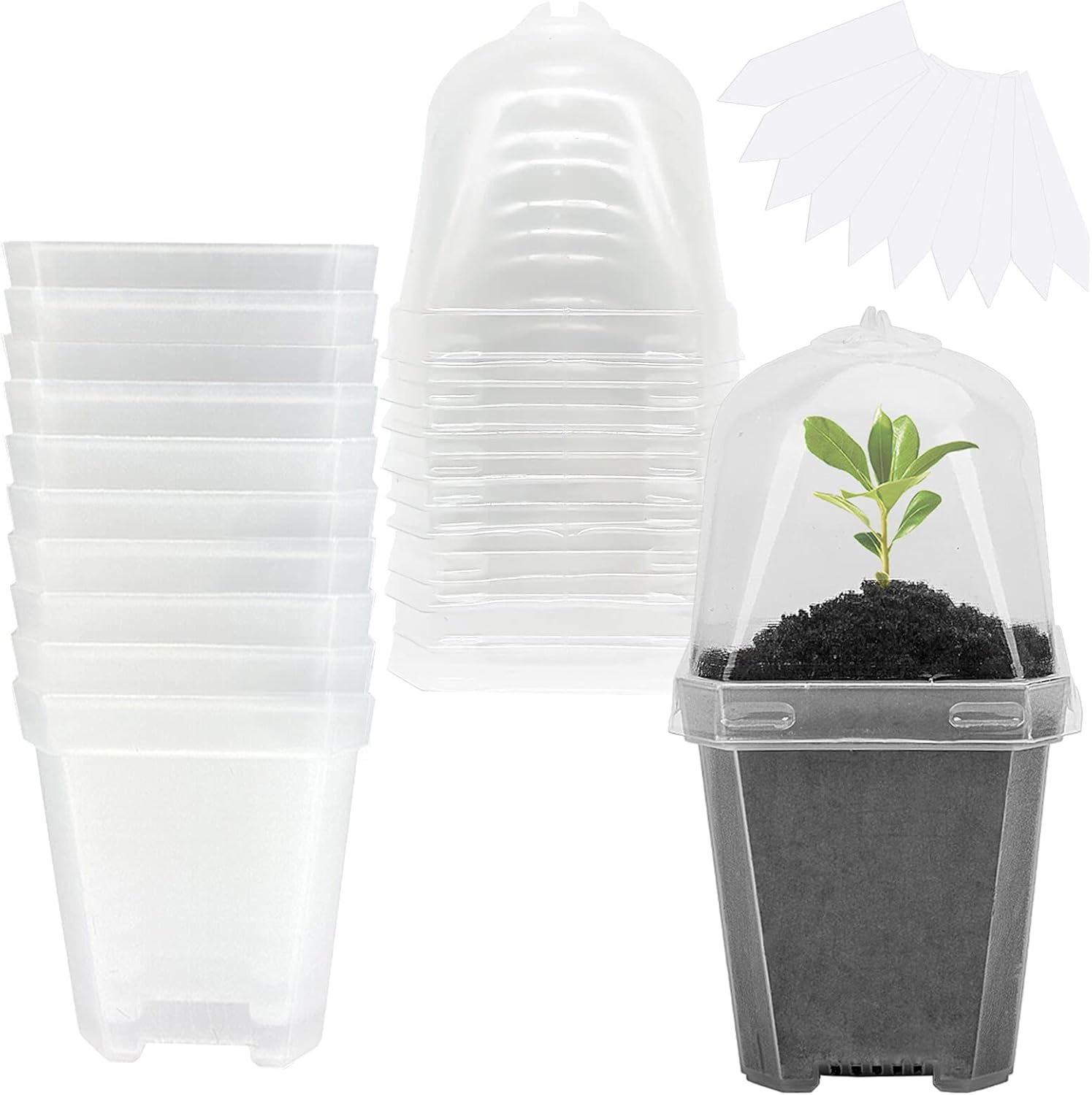 10 PCS Clear Plant Nursery Pot - Plastic Dome Clear ulasan dan harga