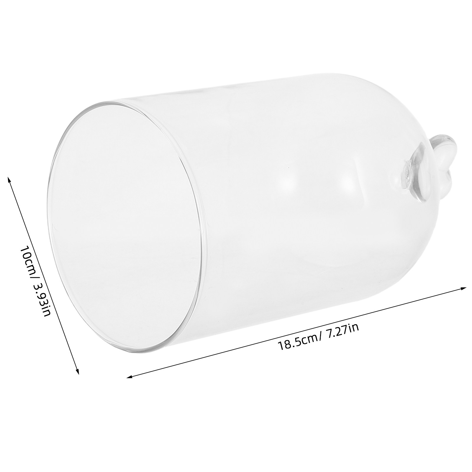 Glass Cloche 6.3x4 Transparent - Plastic Dome Clear ulasan dan harga