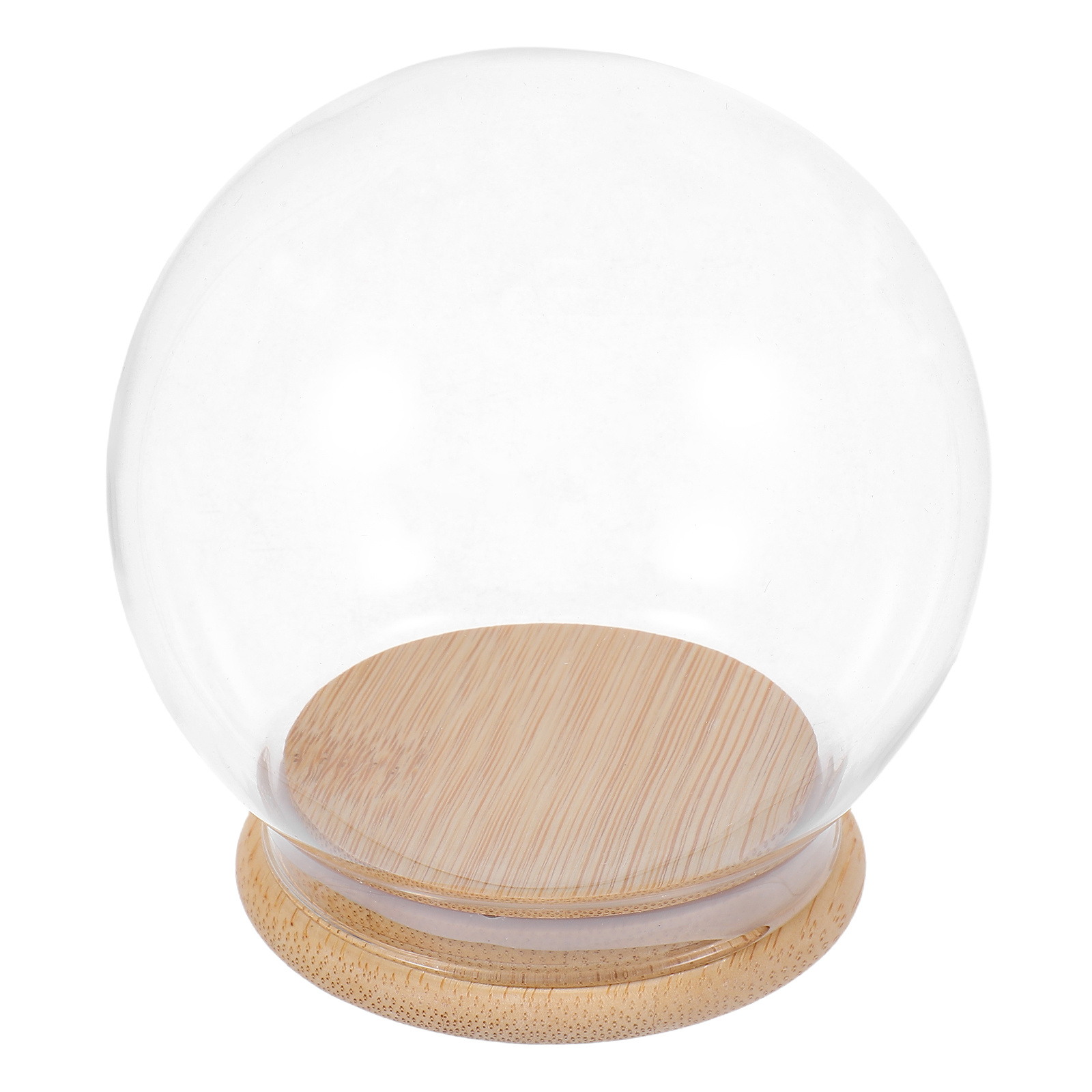Glass Dome Eternal Flower Disp - Plastic Dome Clear ulasan dan harga