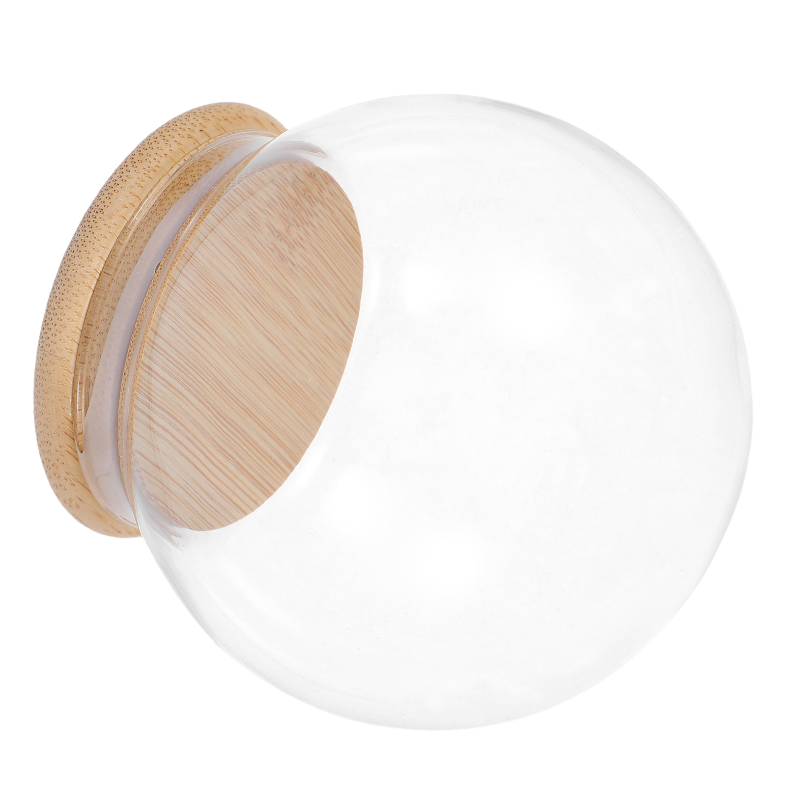 Glass Dome Eternal Flower Disp - Plastic Dome Clear ulasan dan harga