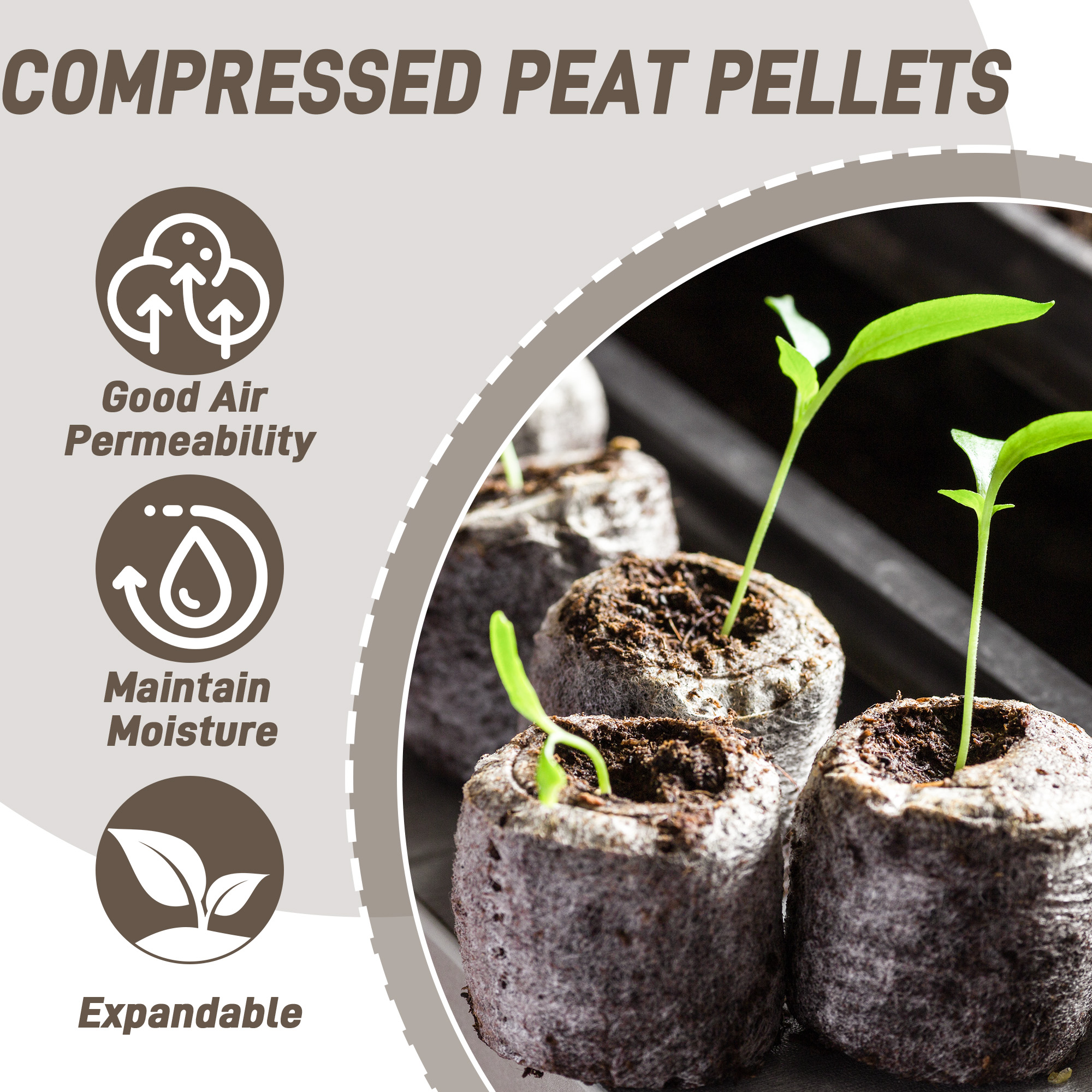 50pcs 35mm Compressed Peat Pel - Peat Pellet Tray ulasan dan harga