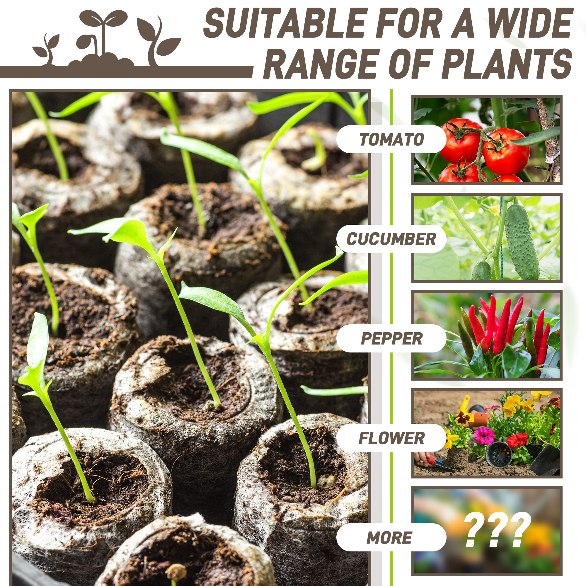 50pcs 35mm Compressed Peat Pel - Peat Pellet Tray ulasan dan harga