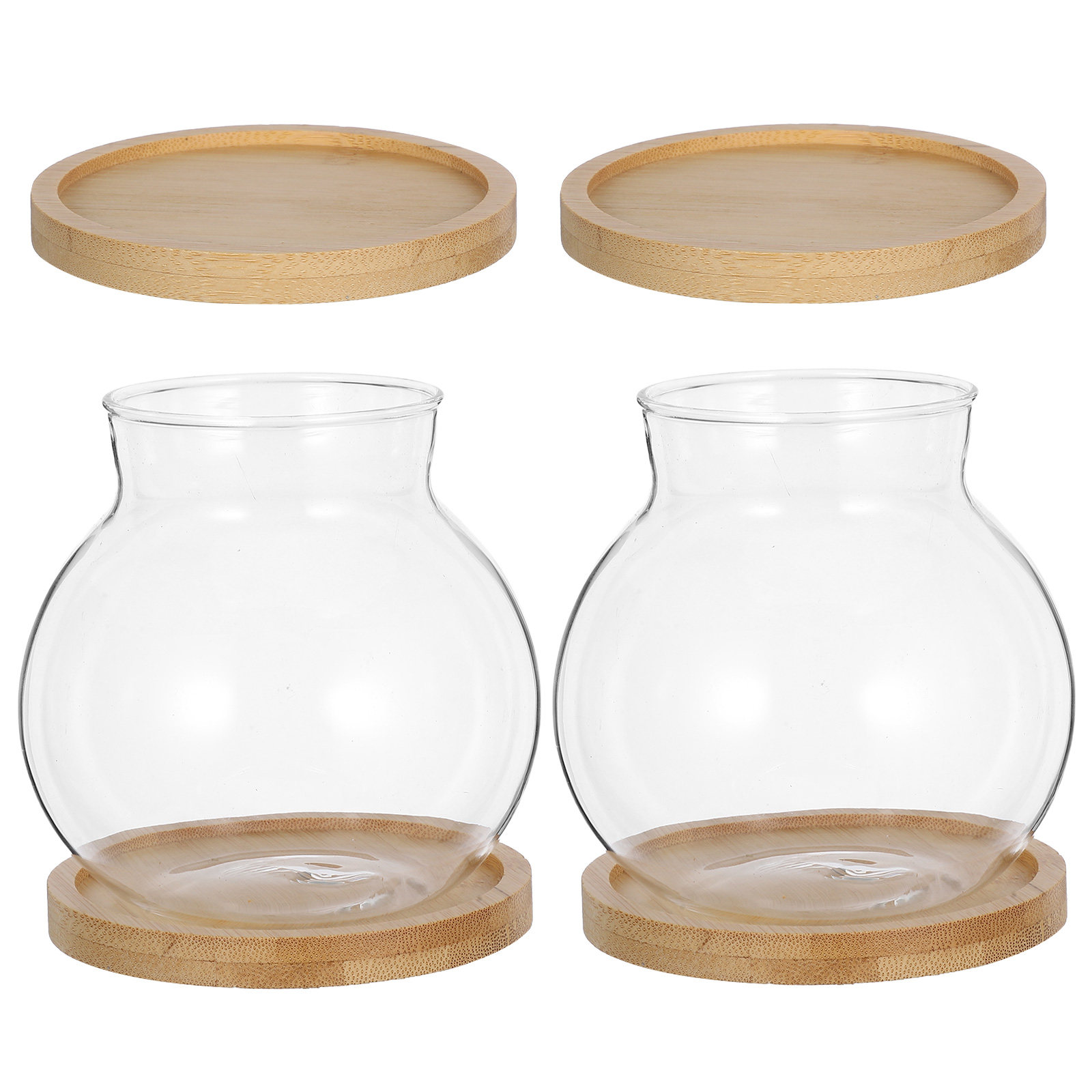 2Set Hydroponic Vase Glass Pro - Propagation Station Vase ulasan dan harga