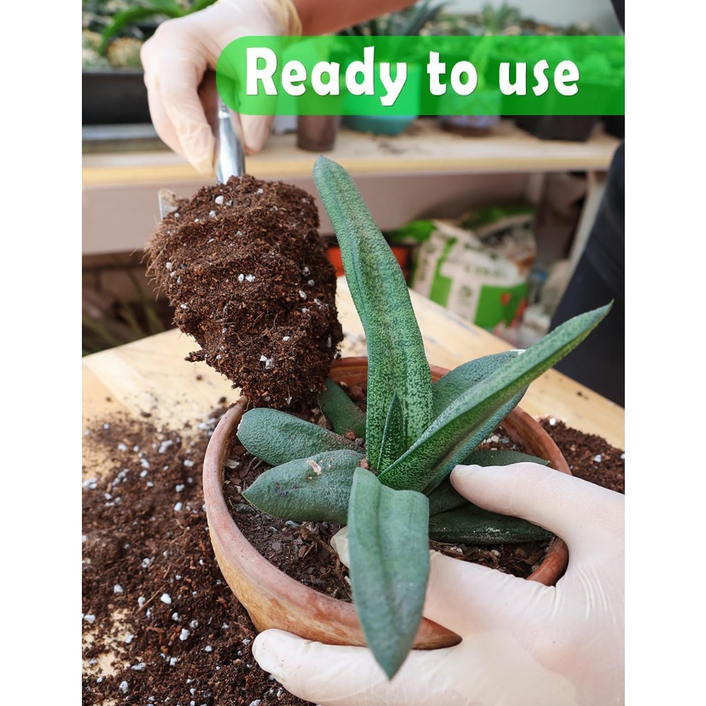 Potting Soil for All Indoor Ho - Coco Perlite Mix ulasan dan harga