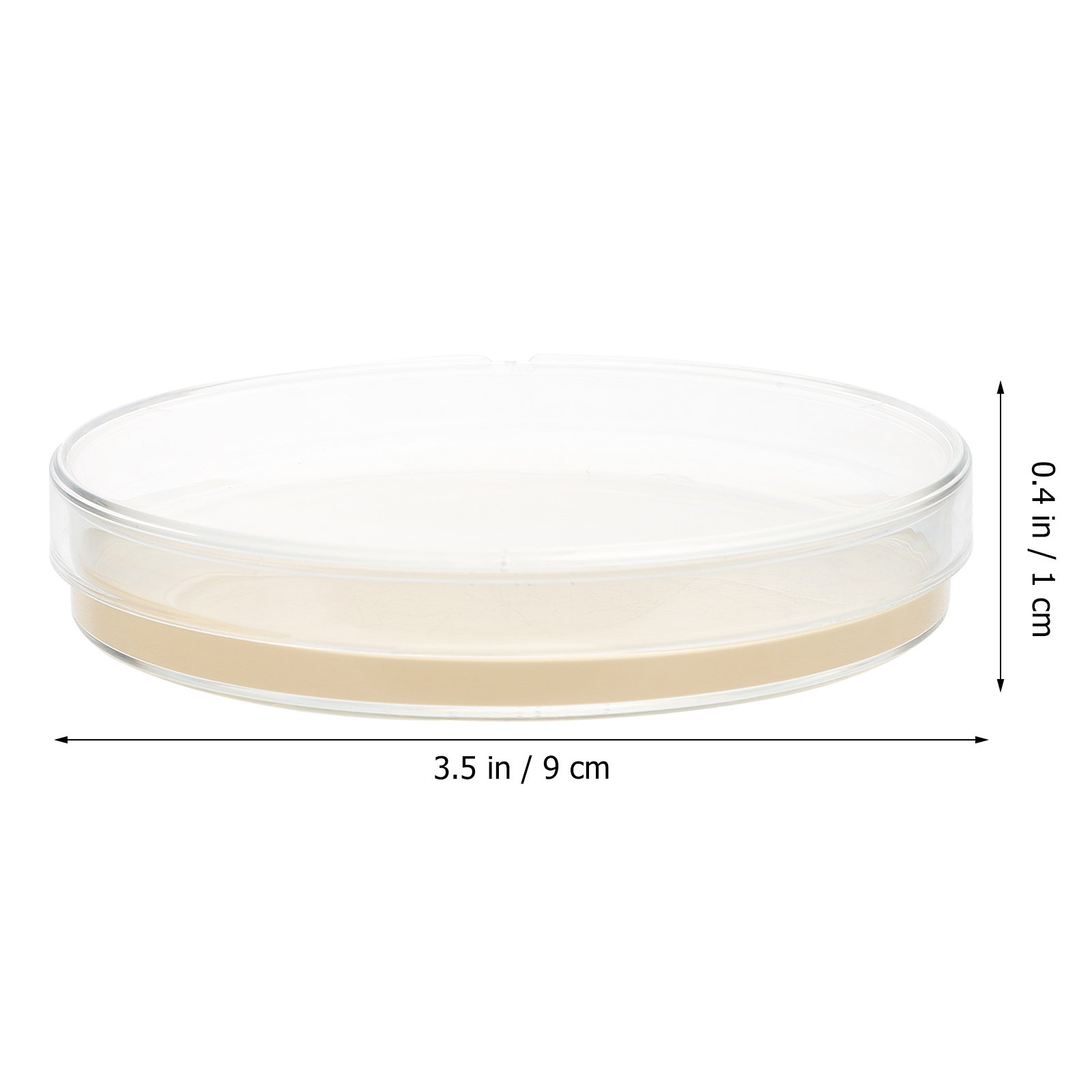 10pcs Nutrient Agar Plates Pre - Agar Tissue Culture ulasan dan harga