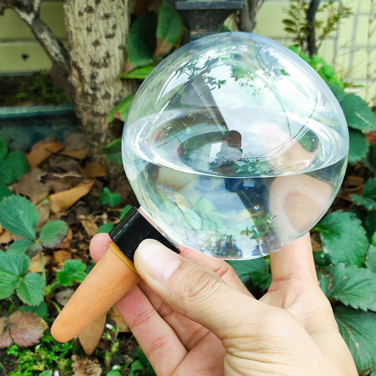 500ML Automatic Plant Watering - Self Watering Insert ulasan dan harga