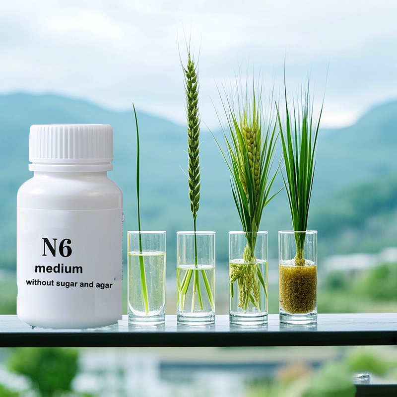 N6 Medium Wtihout Sugar Or Aga - Agar Tissue Culture ulasan dan harga
