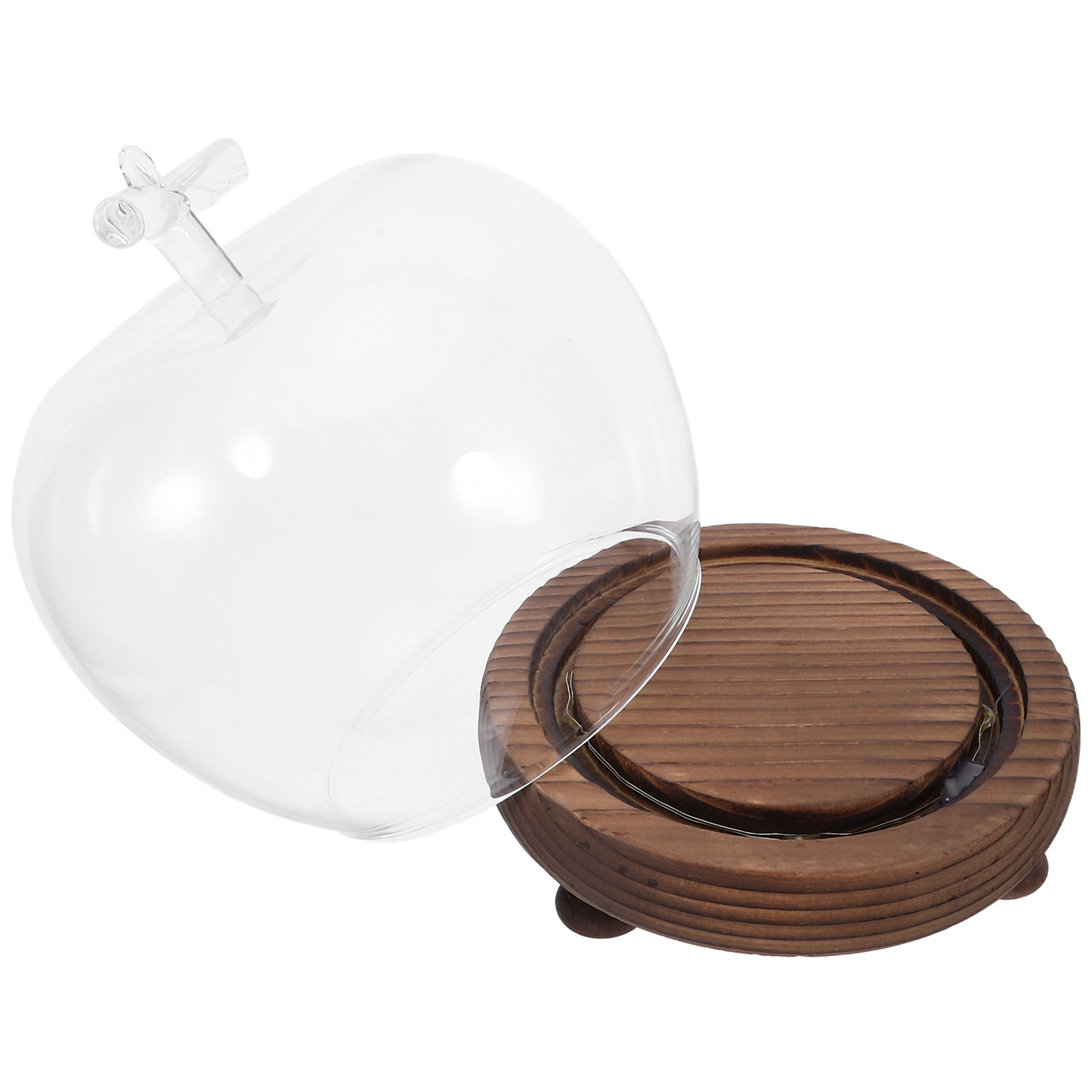 Clear Glass Dome Display with  - Plastic Dome Clear ulasan dan harga