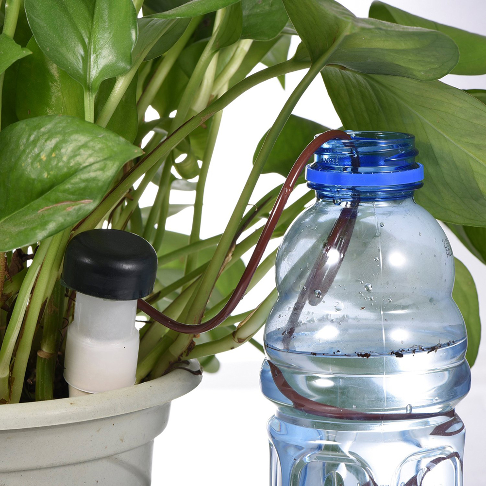 8-24Pcs Self-Watering Probes A - Self Watering Insert ulasan dan harga