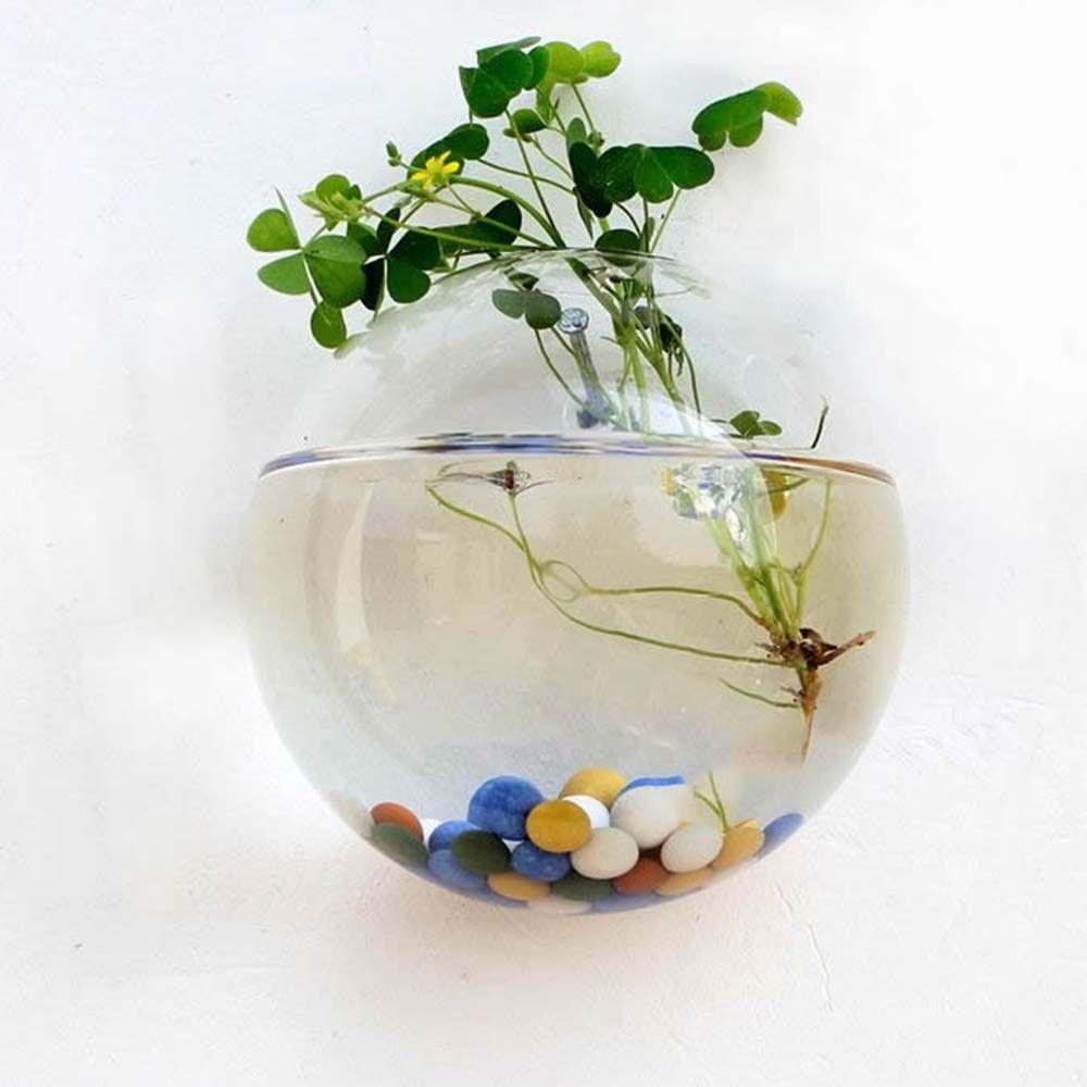 Transparent Glass Vase Wall Ha - Propagation Station Vase ulasan dan harga