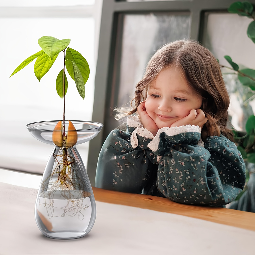 Avocado Seed Starter Vase Tran - Propagation Station Vase ulasan dan harga