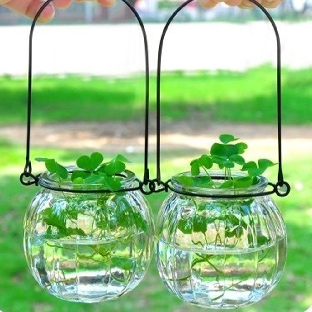 6Pcs Transparent Hanging Glass - Propagation Station Vase ulasan dan harga