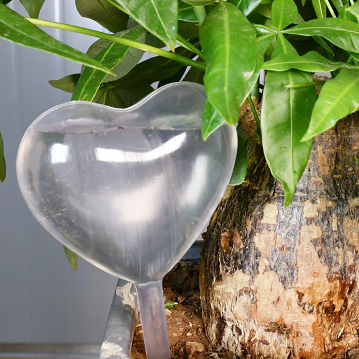 1pc Automatic Plant Watering B - Self Watering Insert ulasan dan harga