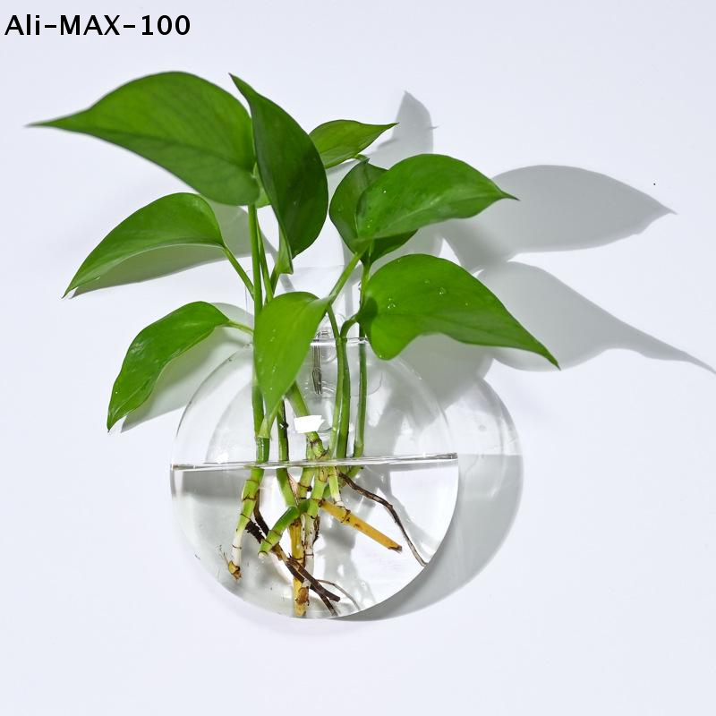 【MA3】Wall Hanging Glass Plant  - Propagation Station Vase ulasan dan harga