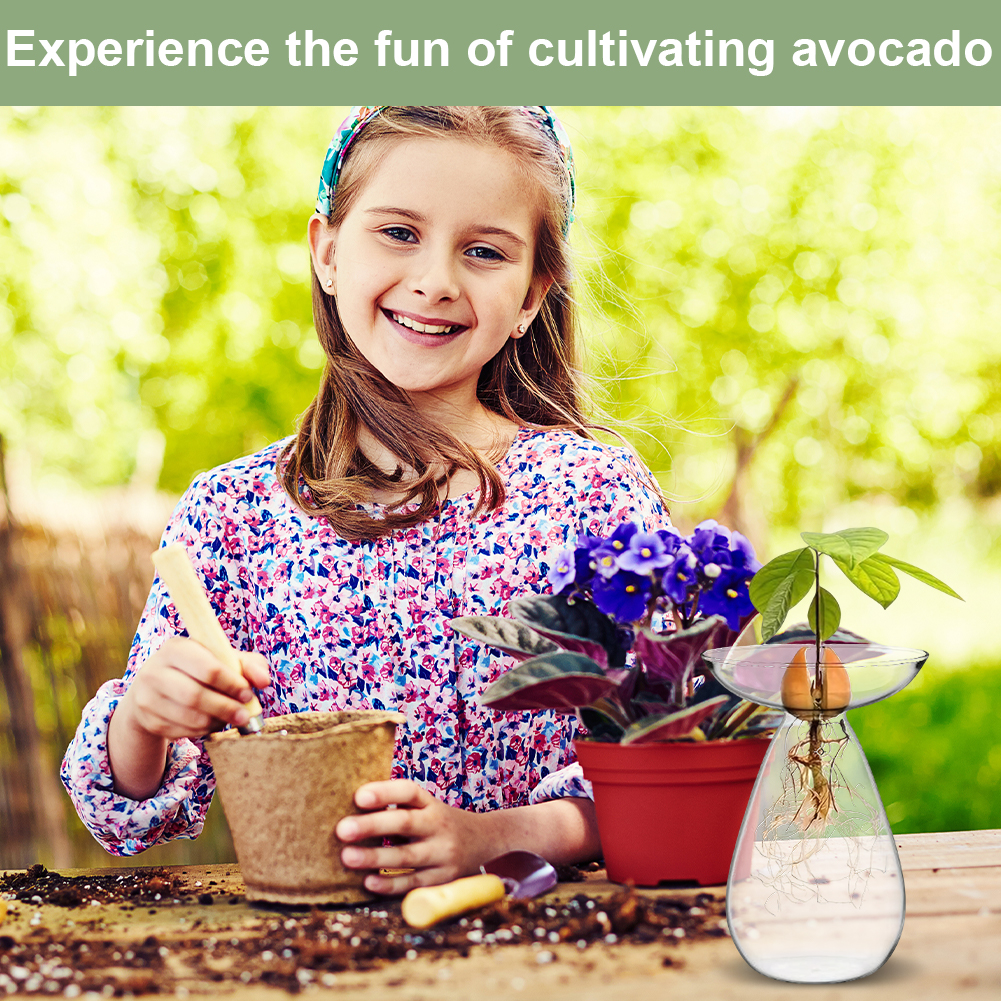 Avocado Seed Starter Vase Tran - Propagation Station Vase ulasan dan harga
